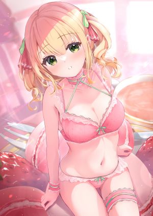 ふじみやりお,bra,garter,胖次